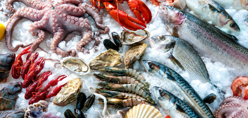 Frozen Seafood – Good Food Distributors